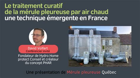 Le traitement curatif de la mérule pleureuse par air chaud: une ...