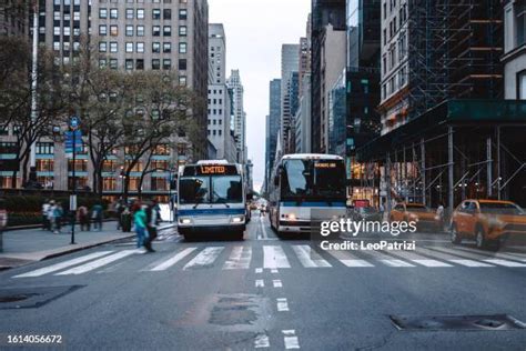 790 New York City Bus Driver Stock Photos, High-Res Pictures, and ...