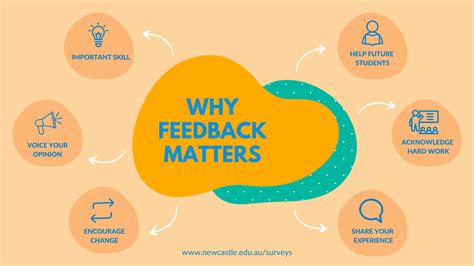 The Critical Importance of Instant Feedback for Effective Learning