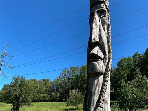 Aventure Jura Parc (Rebeuvelier) - Alles wat u moet weten VOORDAT je ...