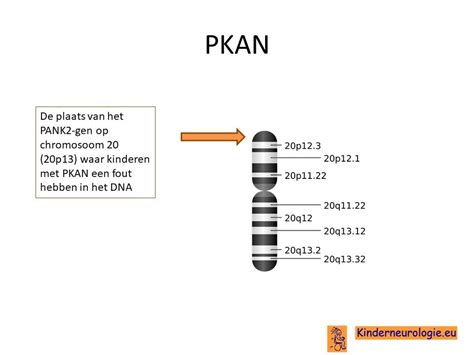 PKAN - Kinderneurologie