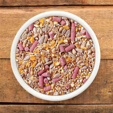 Robin & Songbird No Mess Seed Mix | Feeds and Seeds