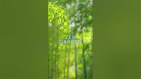 Zen Garden - A Relaxing Ambient Music Playlist - YouTube