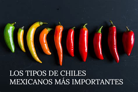 Chiles de México: DESCUBRE VARIEDADES y SECRETOS CULINARIOS