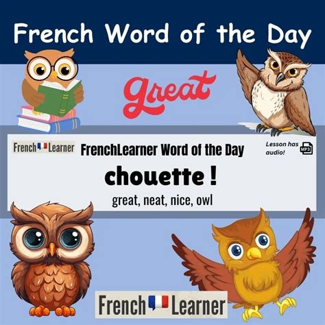 Chouette (Great, neat, nice) - French Word of the Day