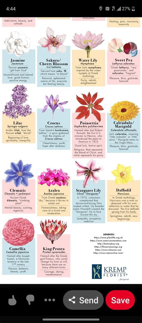 Flower Meanings: Discover the Language of Flowers