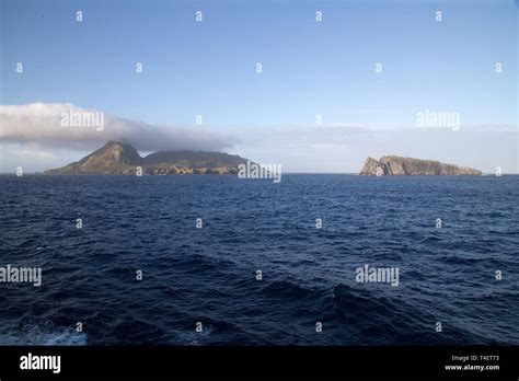 Nightingale Island High Resolution Stock Photography and Images - Alamy