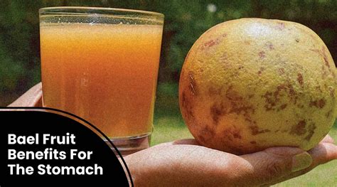 Bael Fruit Benefits For The Stomach | ToneOpCare