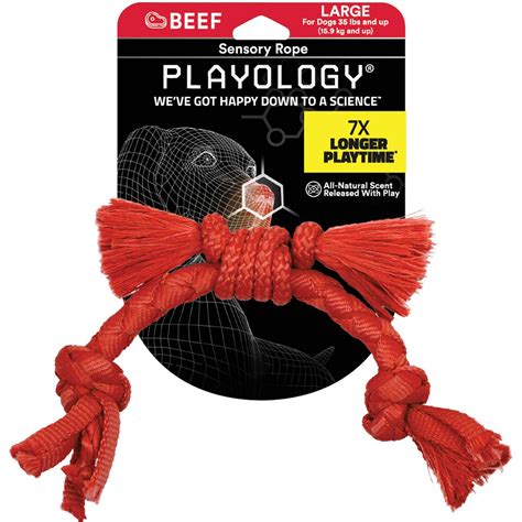 PLAYOLOGY Puppy Sensory Rope Beef Dog Toy, Red, Small - Chewy.com