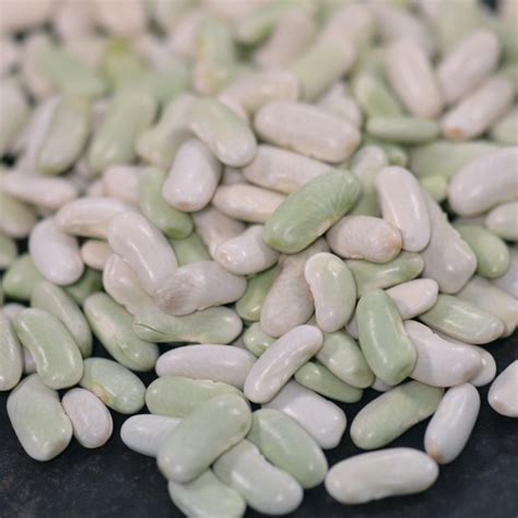 Flageolet vert (500g) – EnfinBio