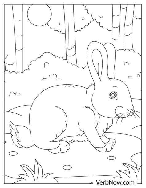 Free RABBIT Coloring Pages & Book for Download (Printable PDF) - VerbNow