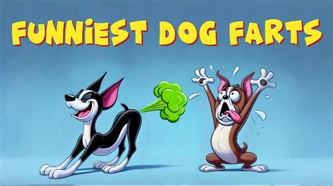 Funniest Dog Farts Compilation