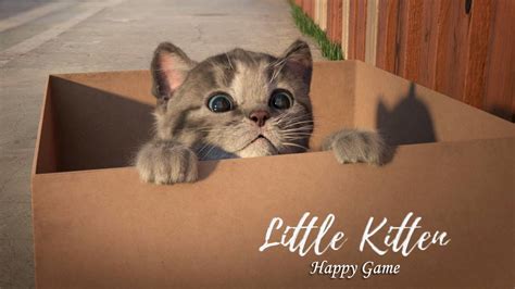 Little Kitten My Favorite Cat Play Fun Pet Care Game for Kids and ...