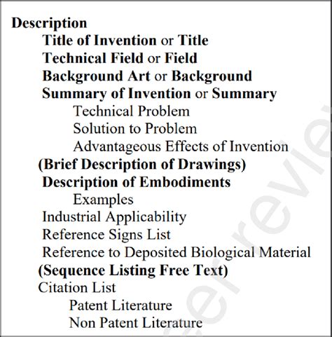-The Common Application Format of the description part of a patent ...