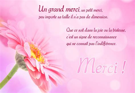 Cartes virtuelles merci remerciements - Joliecarte