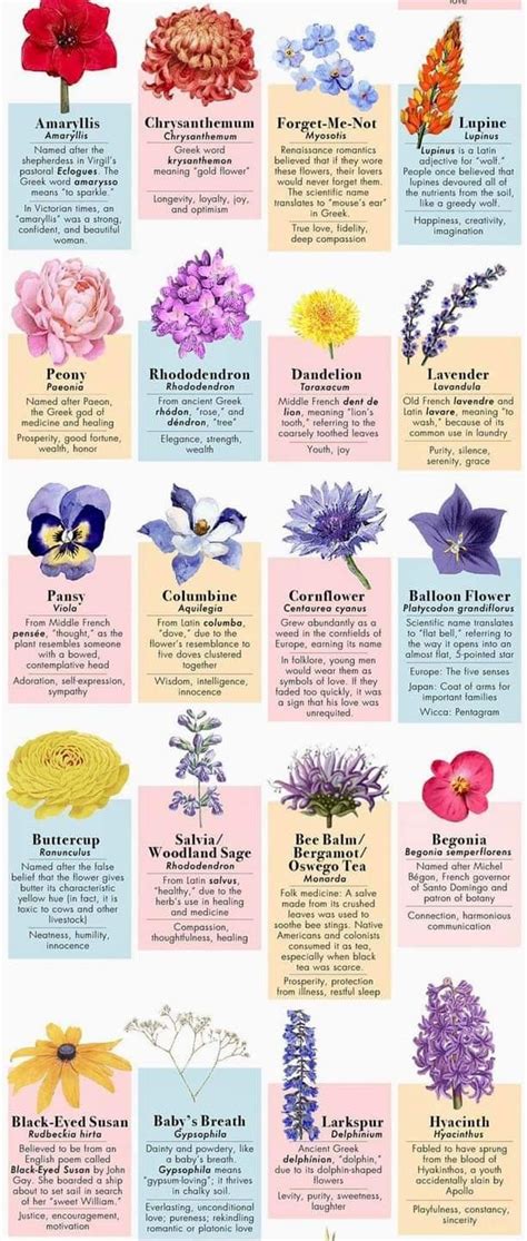 Flower meanings chart – Artofit