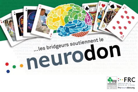 Neurodon - L'Hay Bridge