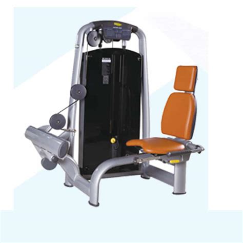 TECHNOGYM ROTARY CALF - Gym Store