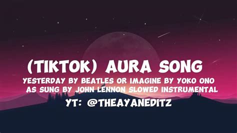 (Tiktok) Aura Song | Lvl 1 crook meme song