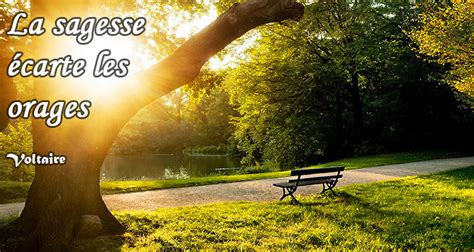 Le blog aléatoire: Sagesse, que c’est