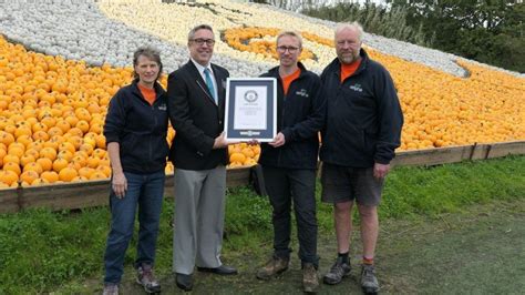 Tim Burton-inspired pumpkin mosaic sets world record - BBC News