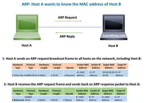 ARP vs GARP vs RARP Explained With Wireshark Capture and Examples ...