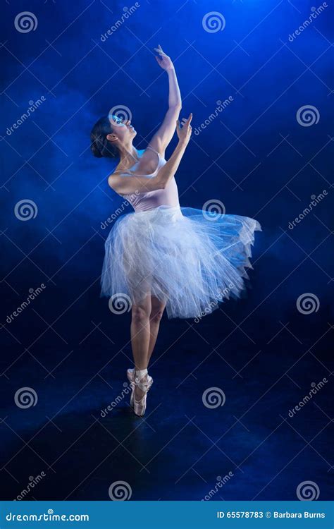 Graceful Ballerina BB130925 Stock Image - Image of skirt, skillfull ...