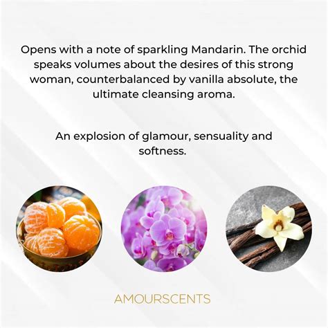 Classique Cabaret - Inspired Alternative Perfume | Eau De Parfum ...