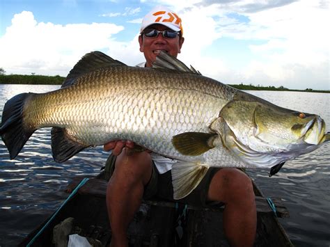Big Fishes of the World: BARRAMUNDI (Lates calcarifer)