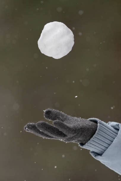 5,300+ Throwing Snowball Stock Photos, Pictures & Royalty-Free Images ...
