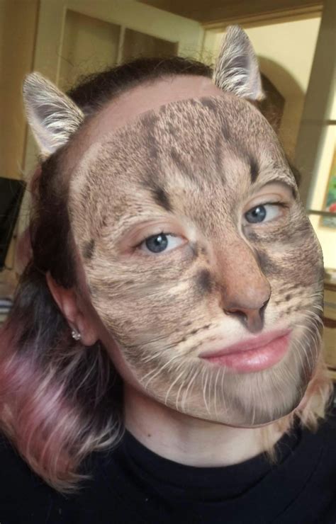 11 Best Animal Face Filters On Instagram For A Wild Change To Your Stories