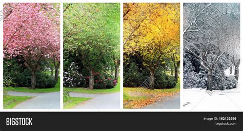 Spring, Summer, Fall Image & Photo (Free Trial) | Bigstock