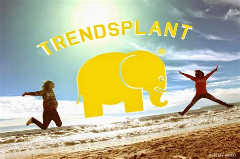 Cosasdhermanas: Trendsplant