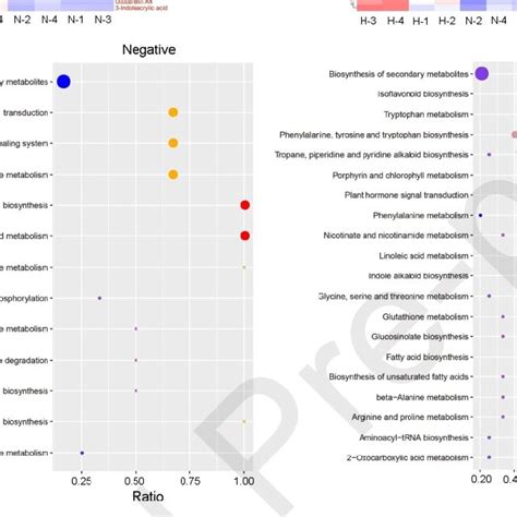 -Differential metabolites and KEGG enrichment between hard and non-hard ...