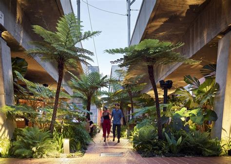 Gondwana in the city: Fish Lane Town Square | Landscape Australia
