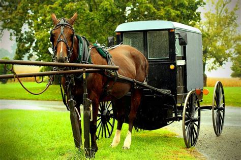 Amish Horse and Buggy | Amish country, Scenic road trip, Day trips in pa