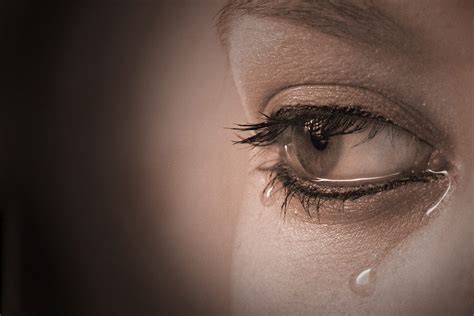 Tears – Steve Taylor