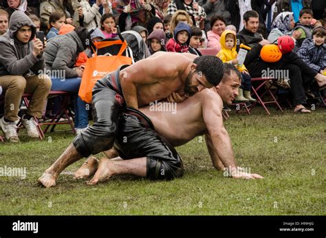 Turkish oil wrestlers,wrestling during the turkish festival in London ...
