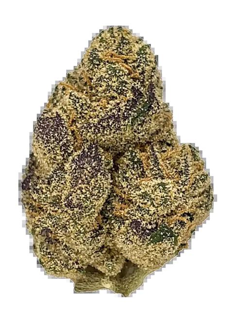 Obama Runtz Cannabis Strain Information - GrowDiaries