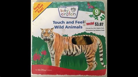 Read With Us: Touch and Feel Wild Animals