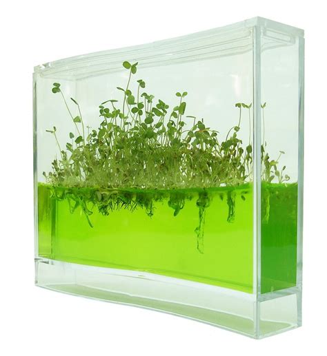 Plantarium Super : Plantarium - Diverse gadgets - Gadgethuset.dk