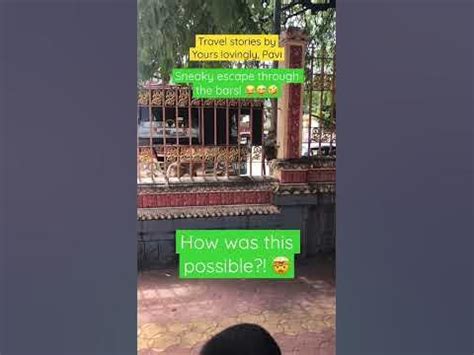 Incredible MONKEY escapes through the bars! 🐒How was this possible? 🤯 ...