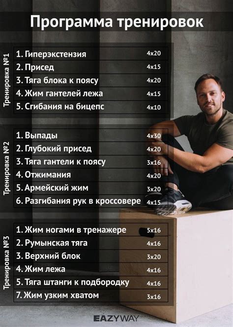 Программа в тренажерный зал: Программы тренировок в тренажерном зале ...