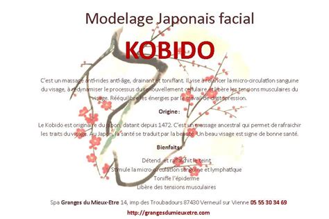 Nouveau Modelage facial Japonais anti-rides KOBIDO - Granges du Mieux-Etre
