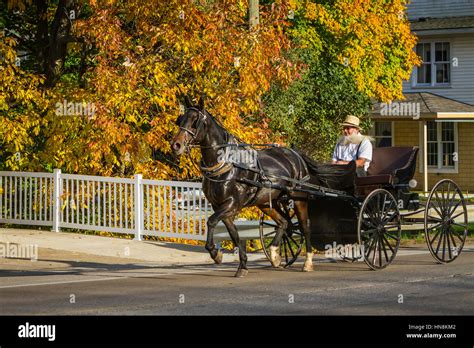 Amish horse carriage hi-res stock photography and images - Alamy