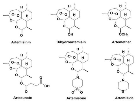Artemisinin and Its Synthetic Derivatives as a Possible Therapy for Cancer