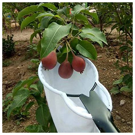 Picking-Tool-Big-Fruit-Catcher-Collection-Pouch-Metal-Fruit-Picker ...