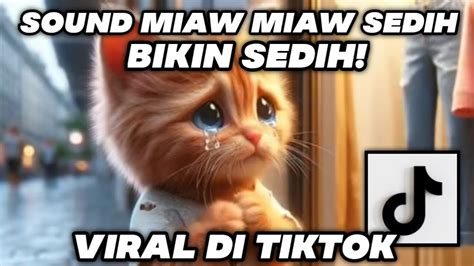 miaw miaw miaw miaw sound sad viral tiktok