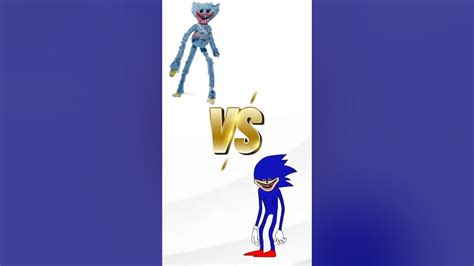 Damaged Huggy Wuggy VS Shin Sonic Phase 2 [Sonic Tapes] 🆚 [Poppy Playtime 4]