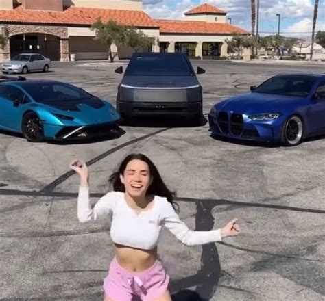 Woman Breaks Lamborghini Window While Dancing For TikTok, Surprising ...